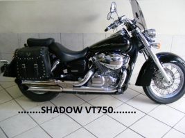 Honda Vt 750 Shadow