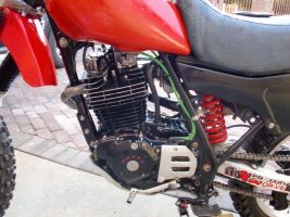 Honda Xr500