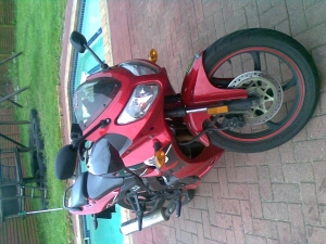 Jon Way Bashan 250r