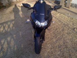 Kawasaki 2009 250r Racing Edition