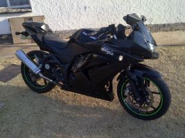 Kawasaki 2009 250r Racing Edition