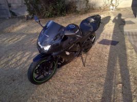Kawasaki 2009 250r Racing Edition