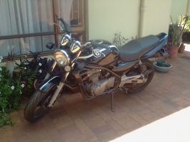 Kawasaki Er5