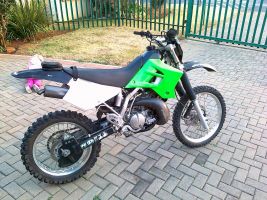 Kawasaki Kdx 200