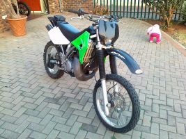 Kawasaki Kdx 200