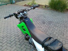 Kawasaki Kdx 200