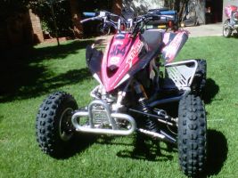 Kawasaki Kfx 450