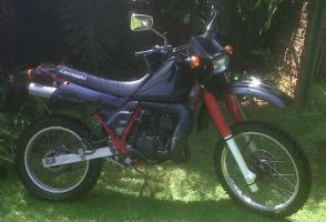 Kawasaki Kmx200 2-stroke