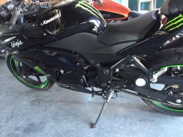 Kawasaki Ninja250