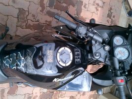 Kawasaki Ninja 250