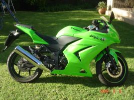 Kawasaki Ninja 250r