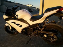 Kawasaki Ninja 300 