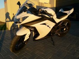Kawasaki Ninja 300 