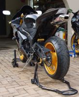 Kawasaki Zxr-636 Ninja