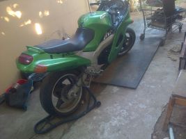 Kawasaki Zzr 1100 D-model
