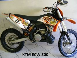 Ktm Ktm 300