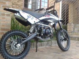 Orion Pit Bike