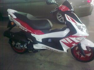 Pgo G-max 200