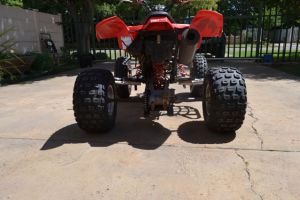 Polaris Predator