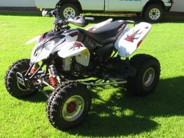 Polaris Predator 500 Troy Lee Design