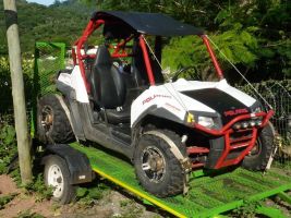 Polaris Rzr 800 Efi 
