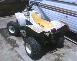 Polaris Trailblazer 260