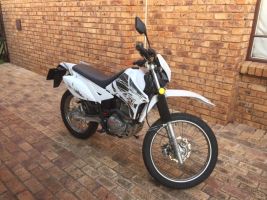 Puzey 200 Stx