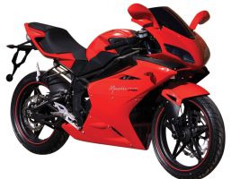 Puzey Megelli 250rr