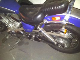 Skygo 250cc V-twin