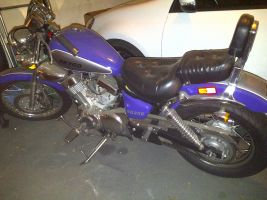 Skygo 250cc V-twin