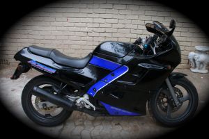 Suzuki 250 4 Cyl 16 Valve 