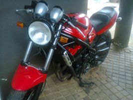 Suzuki Bandit