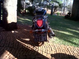 Suzuki Boulevard