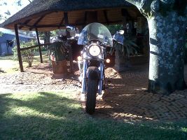 Suzuki Boulevard