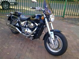 Suzuki Desperado 800 V-twin 