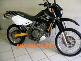 Suzuki Dr 650