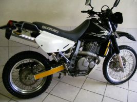 Suzuki Dr 650