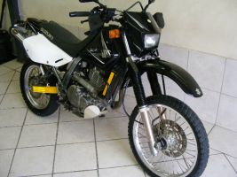 Suzuki Dr 650