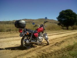 Suzuki Gn 125h