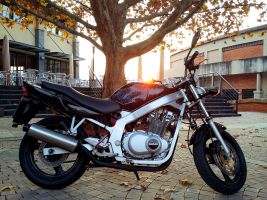 Suzuki Gs500