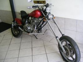 Suzuki Gs 440