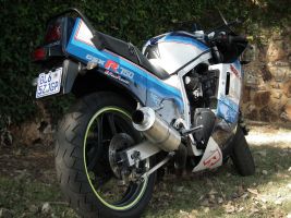 Suzuki Gsx-r 750 Pre-sling