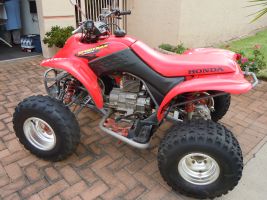 Suzuki Ltz400