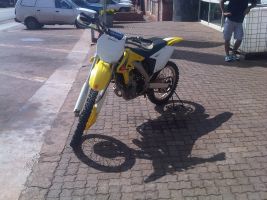Suzuki Rmz 250