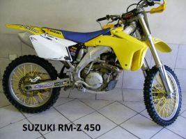 Suzuki Rmz 450