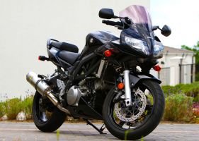 Suzuki Sv1000s