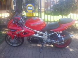 Suzuki Tl1000s