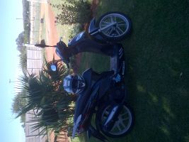 Sym 3113