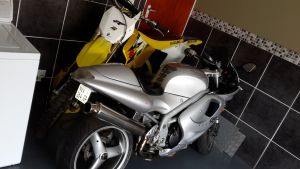 Triumph Daytona 955i Silver