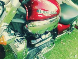 Triumph Rocket Iii